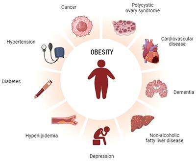 Female obesity: clinical and psychological assessment toward the best treatment